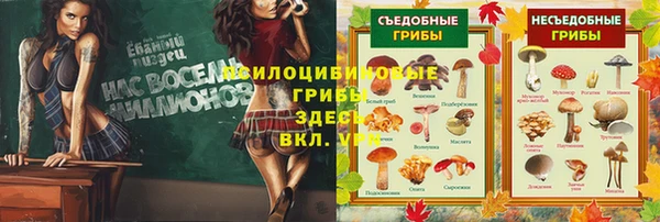 mix Алексин