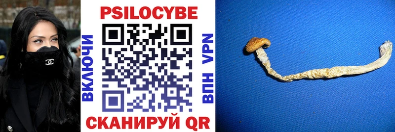 Псилоцибиновые грибы Psilocybine cubensis ссылка на мегу сайт Богданович купить закладку