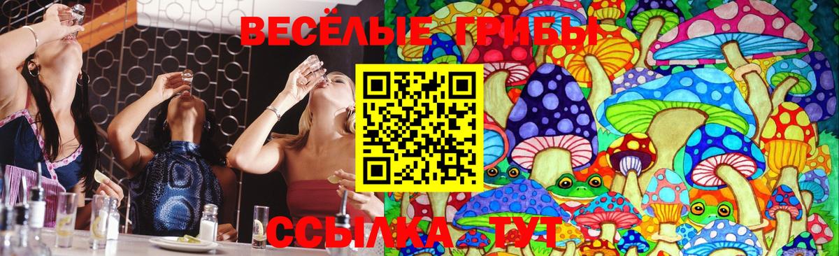 Псилоцибиновые грибы ЛСД  Псилоцибиновые грибы Psilocybine cubensis  Богданович  Вход с VPN 