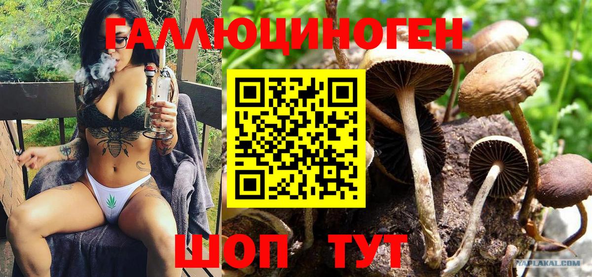 Галлюциногенные грибы Magic Shrooms Богданович